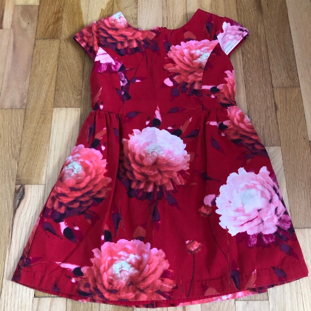 Red Pretty Floral Gap Girls Dress